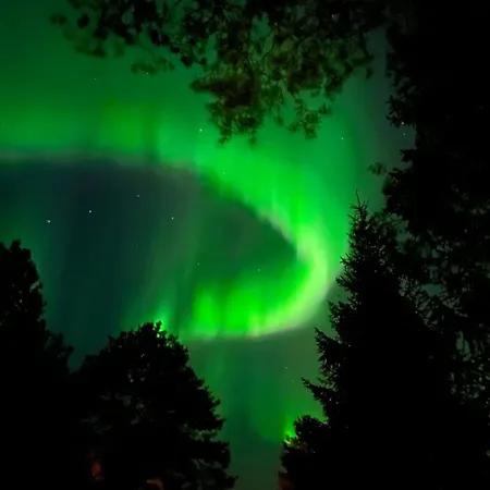 Scandinavian Style *