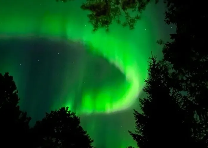 Scandinavian Style *